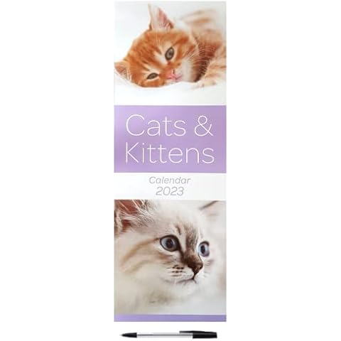 UK Souvenirs And Gifts 2023 Cats & Kittens Tall Slim Wall Calendar Cute Christmas Gift Pets Animals, Multicoloured Cover