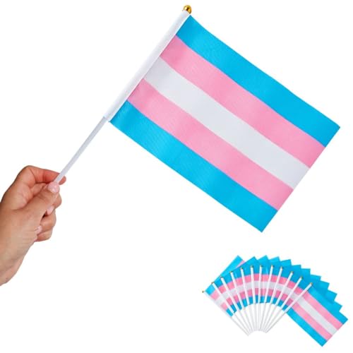 Runesol 12er Packung Transgender Flaggen, 14 x 21 cm, Mini LGBTQ Handfahne, Kleine Stockfahnen, LGBT Pride Dekoration für Parties, Trans Deko, LGBTQ+, Festival Parade Feier, Handgehaltene Flaggen