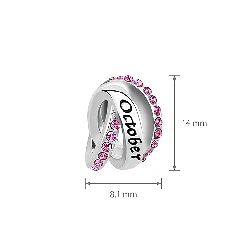Image of LSxAB Birthstones Charms fits Pandora Bracelet for Women Happy Birthday to January-December Charm for Bracelet Necklace Pendant for Women Jewelry