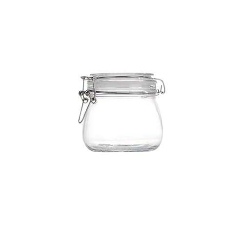 ZNJAMN 1PCS Glass Storage Jar With Airtight Locking Lid BPA-Free Dishwasher Safe For Coffee Beans Fruits Halloween Gifts for Pickling(500ML)