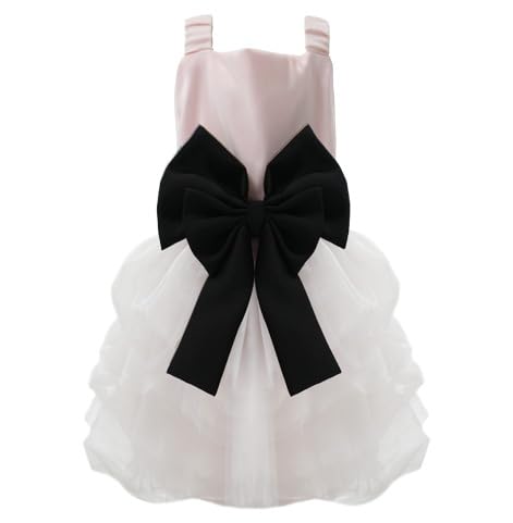 Dog Dress,Pet Wedding Dress Princess Formal Tutu Skirt with Bowknot,Puppy Birthday Party Outfit Apparel Girl for Small Dogs Cats (Pink, Small)
