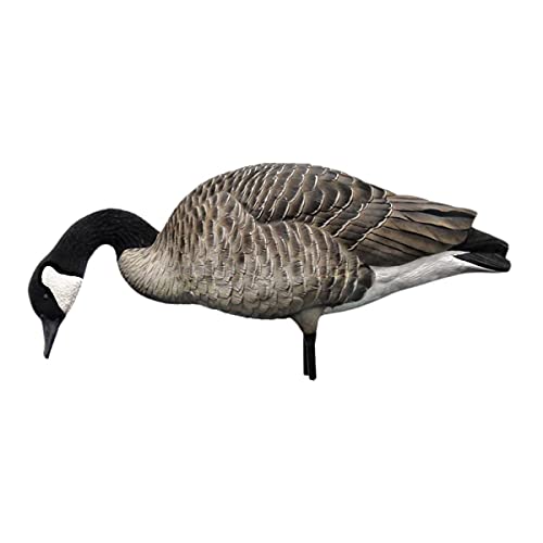 Avian-X Axp Full-Body Honkers Realistic Canadian Goose Hunting Decoys With Collapsible Stands - Fusion Pack Of 6 #TOP5