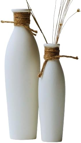 Kimisty Juego de 2 jarrones de cerámica blanquecina, pequeños jarrones de cerámica, decoración de jarrones de estilo rústico, juego de jarrones