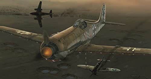 エデュアルド 1/48 プロフィパック ドイツ空軍 フォッケウルフ Fw190D-11/13 プラモデル EDU8185N