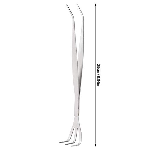 Fdit 2-in-1-Bonsai-Pinzette Wurzelschwader Edelstahl-Wurzelschwader Bonsai-Pinzette Bodenbearbeitungswerkzeug mit ergonomischem Griff für Gartenzubehör MEHRWEG VERPAKUNG