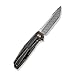 We Knife WE22035DS1: Shadowfire