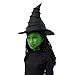 Mattel Universal Wicked Singing Elphaba Fashion Doll & Accessories, Posable with Movie-Inspired Look & Removable Outfit, Sings “Defying Gravity”