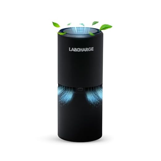 LabCharge Ionic Air Purifier for Home & Bedroom – Silent HEPA Filter-Free Cleaner for Pets, Hair, Smoke, Dust, Odors & Dander – Covers 250 Sq Ft – Compact & Black Design