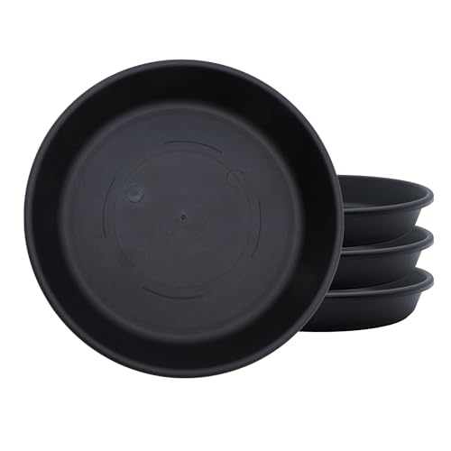 The HC Companies 8 Inch Classic Round Plant Saucer, Lightweight UV-Resistant Plastic Outdoor & Indoor Flower Pot Tray, 4-Pack Plant Pot Trays for Garden & Home Decor, Black
