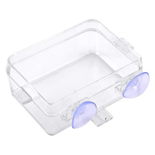 Reptile Basin, ABS Bait Basin Reptile Food Bowl, Worm Feeding Basin Transparente para colocar larvas
