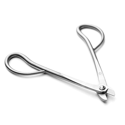 Tijeras para alambre 160 mm herramientas bonsái miniatura 4