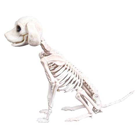 D-Rings Dog Skeleton Dog Skull Model Creepy Scary Animal Bones Lifelike Dog Bone Halloween Decorations,Halloween Props Animal Skeleton Halloween Supplies - Dog Skeleton Scary Model Creepy Animal (Dog) Cover