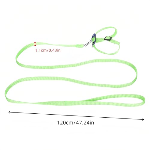 Verstellbares Geschirr für Papageien, 2 Stück, Geschirr für Vögel, Outdoor Carrying Flight Rope Tether Vogel Harness, für Sittich, Cockatiel, Alexandrin, Scharlachrot