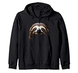 Sloth Fun Designs