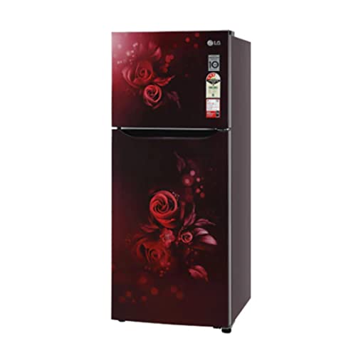 Image of LG 284 Litres 2 Star Standard Double Door Refrigerator (Scarlet Euphoria, GL-S302SSEY)