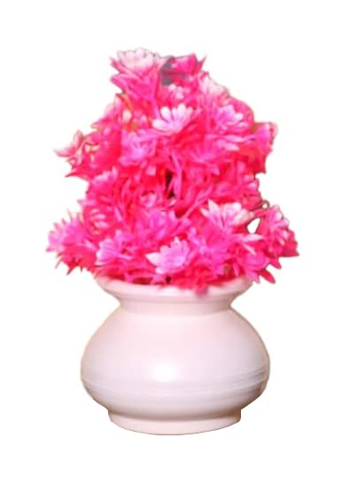 Octa Fashion Artificial Succulent Wild Plant with Pot for Office, Home, Indoor, Dining Table Decor, Speacial Ocassion Decor (Pink_5inch)