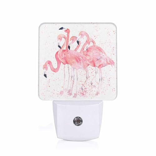 Image of LED Night Light,Pink Flamingos Splash Aquarelle LED Night Light Plug into Wall with Dusk to Dawn Light Sensor White Energy Efficient Nightlight for Bedroom Bathroom Hallway Living Room Kitchen