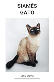 gato siames bebe mercadolibre  Siamês (Gato)