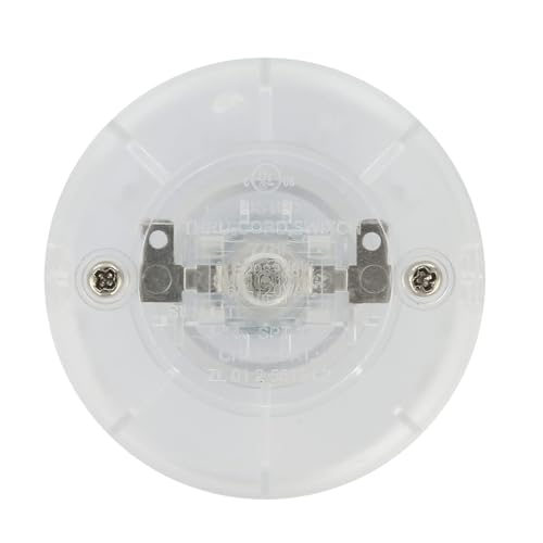 Porte-gobelet transparent rond en plastique robuste pour verres et tasses