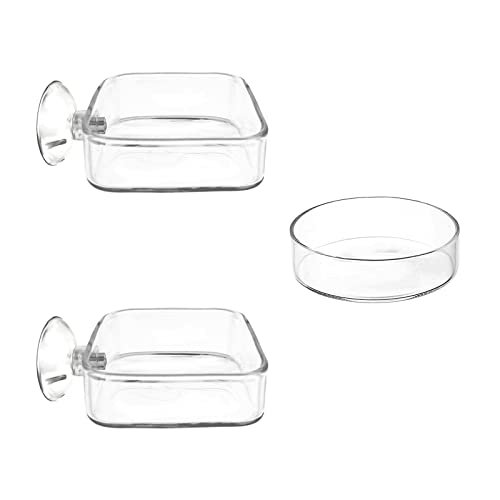 Image of Aquarium Shrimp Feeder Dish Glass Fish Tank Feeding Bowls, 2pcs Square Glass Food Bowl (60mm), 1pcs Round Fish Feeding Bowls with Suction Cups (60mm)