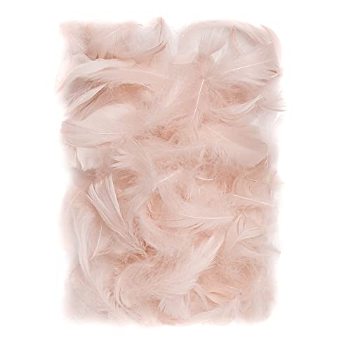 Netuno 150 Stück Flaum Federn Nude 10 g Natur Schmuckfedern zum DIY...