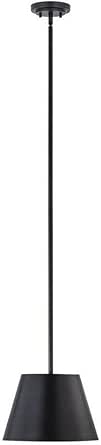Z-Lite 2307-12MB Lilly - 1 Light Pendant in Industrial Style-9.5 Inches Tall and 12 Inches Wide, Finish Color: Matte Black