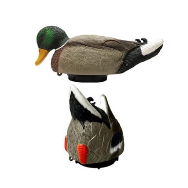 MOJO Outdoors Rippler Duck and Butt Up Duck Decoy Combo
