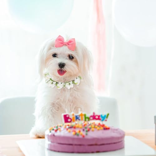 YSJCHEBS 1 Stück Haustier-Girlande, 1 Stück Haustier-Armband, Haustier-Hochzeits-Blumenhalsband, Haustier-Blumen-Fliege, Hunde-Hochzeits-Blumenkrone, Foto-Requisiten-Girlande