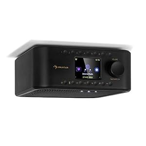 auna Sound Maître – keukenradio, internet/DAB + / FM onderbouwradio, bluetooth functie, tft-kleurendisplay, stereoluidsprekers, 2 x 1 watt RMS, aux-ingang, led-verlichting, kookwekker, zwart