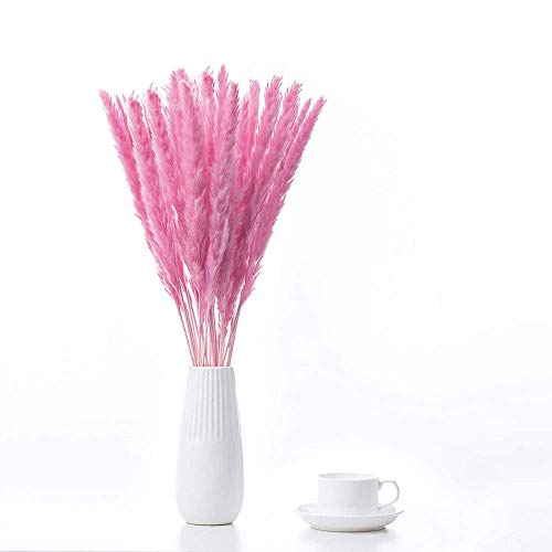 Flores Secas Ikea - Los 20 Mejores Precios