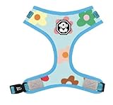 Safe Harness for Dogs - Harness Puppy - Harness Easy Walk - Harness Lead Dog Harness - Dog Swag - Cool Dog Outfits by Fresh Pawz (Small, LE Fleur)