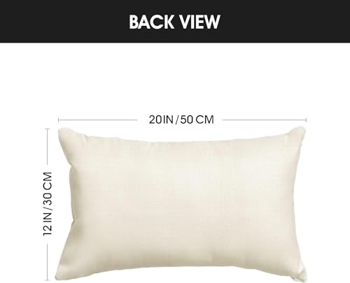 AVOIN colorlife Spring Chinoiserie Trees and Birds Blue and White Grandmillennial Throw Pillow Cover, 12 x 20 Inch Summer Cushion Case Decoration for Sofa Couch Farmhouse