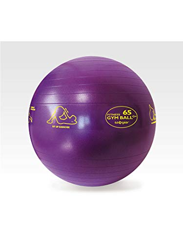 s.a.gear ジムボールグラフィック入り 65CM パープル