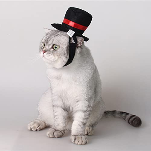 Sombreros para perros y gatos estilo Navidad Medium 2 unidades miniatura 5