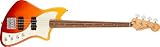 Fender
