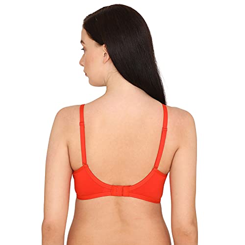 Image of Zivame Women Padded Bra