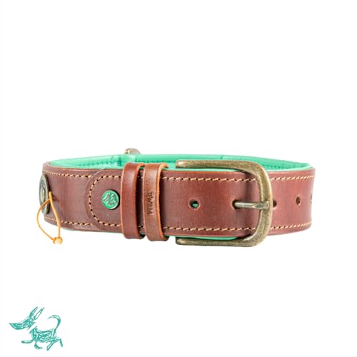 DWAM Dog with a Mission - Hundehalsband XL | Farbenfroh Türkis, Orange mit Perlen | Boho, Ethno, Ibiza, Hippie | Extra große Hunde | Handgemacht | Modisch und Bunt | Weichem Echtes Leder | 4 cm Breit