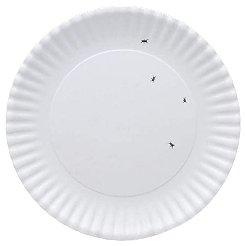 180 One Hundred Eighty Degrees Washable "Paper" Platter w/Ants, Melamine, 16"