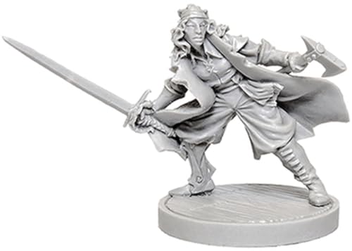 Gale Force Nine – Set Di Token Ranger Per Dungeons & Dragons, 23 Pezzi In Perspex, Classe Ranger, Cancellabili A Umido