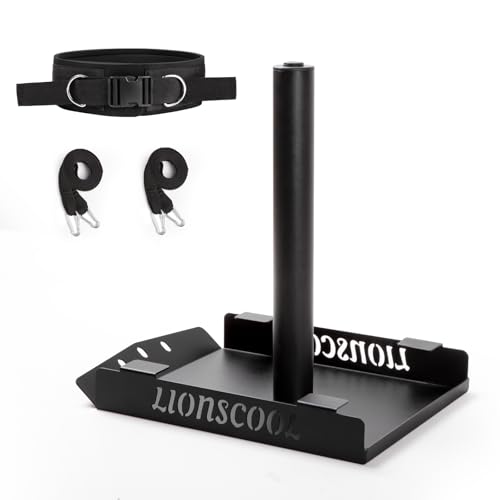 LIONSCOOL Weight Sled