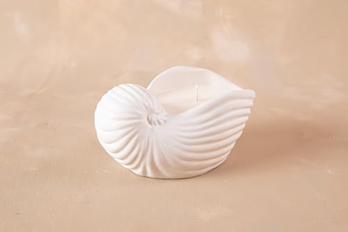 Image of Concrete Sea Shell Jar Candle | Velvet Rose Aroma | 12+Hours Burn Time | Perfect for Home Decor & Gifting (J)