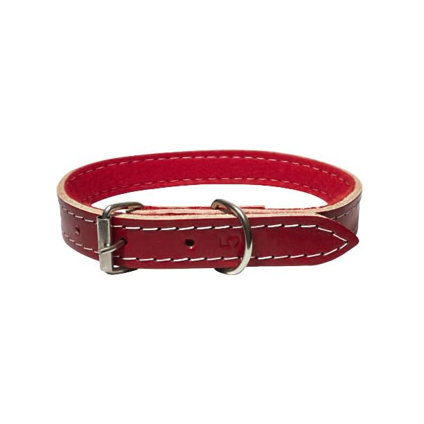 cute collar