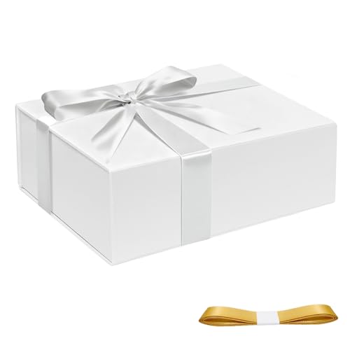 Conchpeople Mtg{bNX1pbNA7.8x7x3.1C` Mtg{bNX }OlbgWt v[gpA{tȃMtg{bNXAo^Cf[AAaAv[gAƎ[p (zCg)