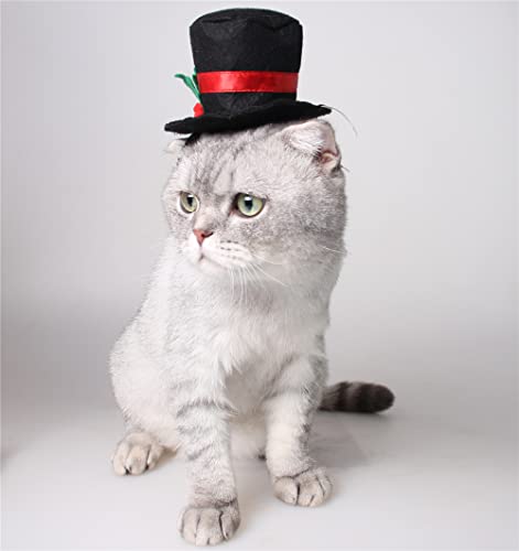 Sombrero de Disfraz Divertido para Mascotas miniatura 6