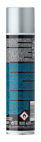 LIQUI MOLY Reifenglanzschaum | 400 ml | Autopflege | Lackpflege | Art.-Nr.: 1609 (Packung mit 2)