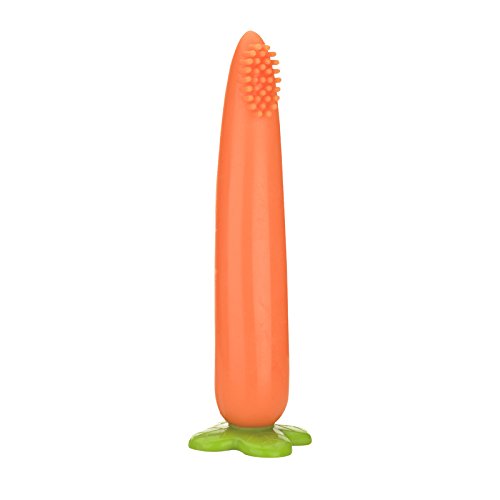 Baby Veggies - Carrot