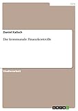 Die kommunale Finanzkontrolle