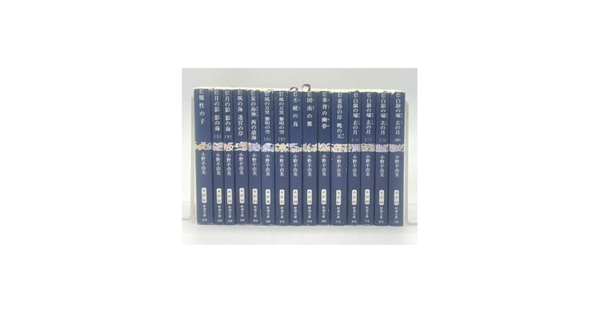 Amazon.co.jp: 十二国記 小説 新潮文庫版 全15巻 小野不由美
