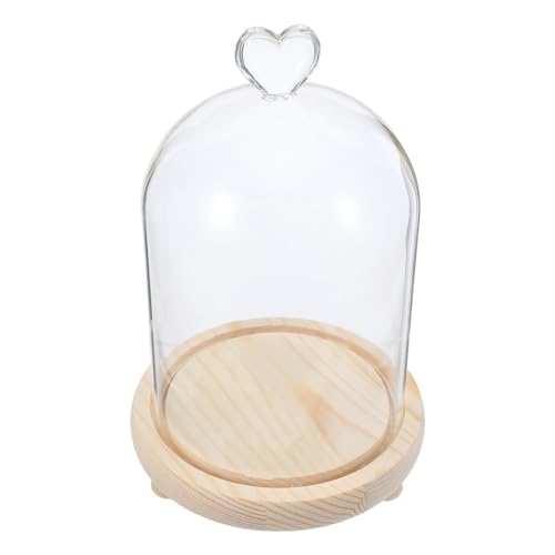 Cúpula para protección contra polvo MERRYHAPY para regalar flores preservadas 2