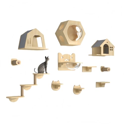 Stewlt LbgEH[N Ǘp ^Lp ؐ ˂ ȒP Lbg^[ LFD Ǌ|LI ȃXy[X RpNg CeA (pbP[W5)